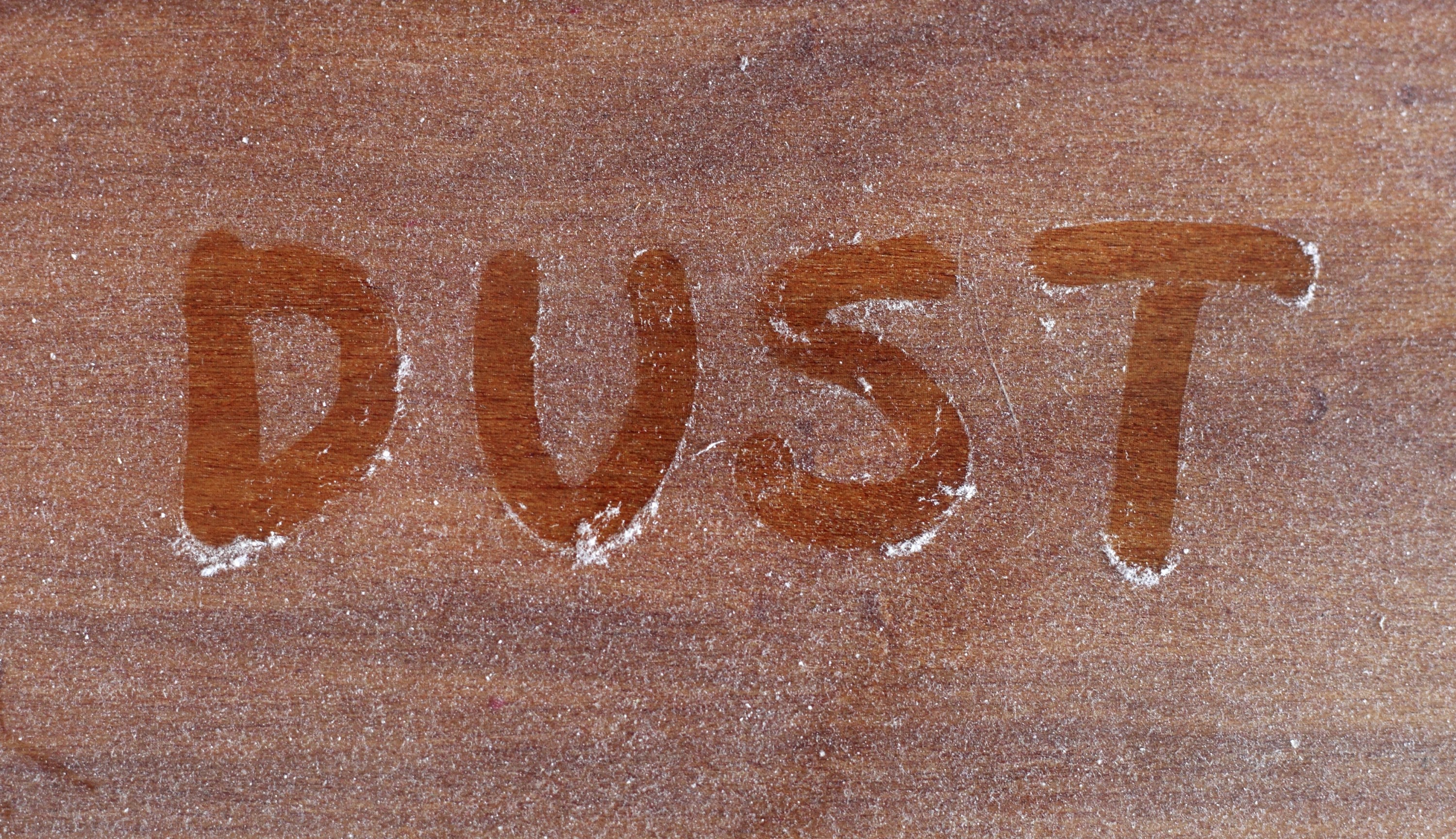 Is Your Vacuum Cleaner A Home Contaminator ?