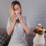 Best Vacuum Cleaner For Pet Allergens Fur, Hair And Dander