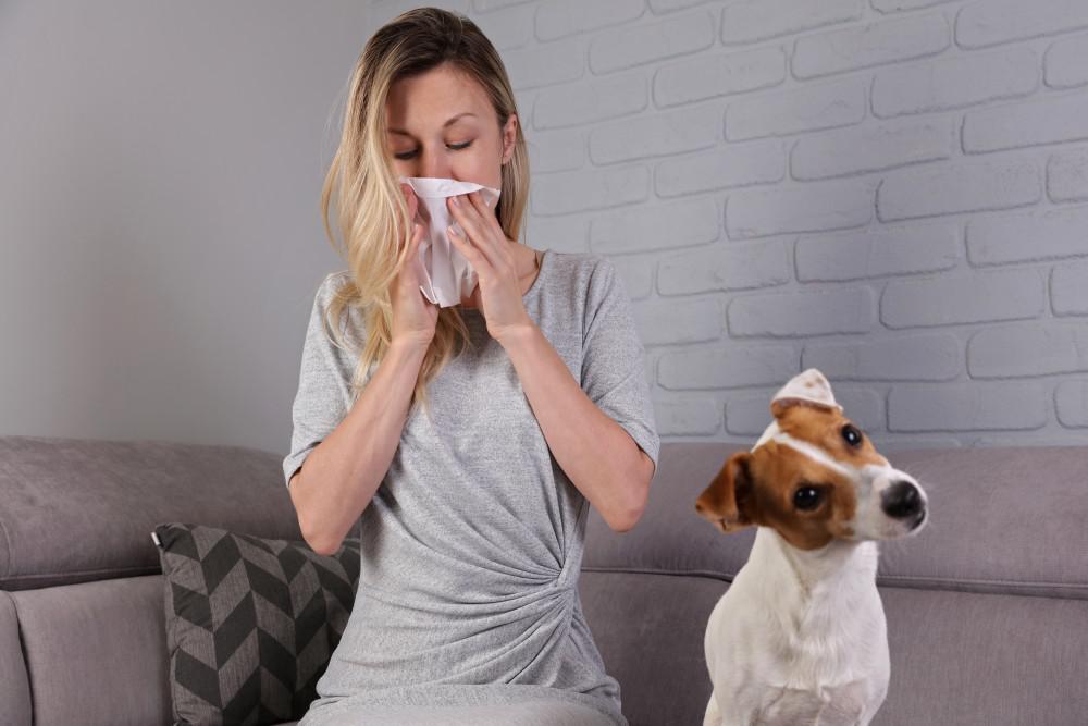 Best Vacuum Cleaner For Pet Allergens Fur, Hair And Dander